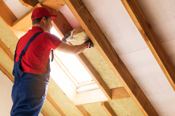 Types of Insulation We Offer in Buffalo, TX